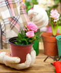 4 Inch Plastic Nursery Pots 100 Pack With Drainage Holes Ideal For Seedlings Cuttings And Transplanting Reusable Seed Starter Pots For Indoor Outdoor Plants Red shown with pink flowers
