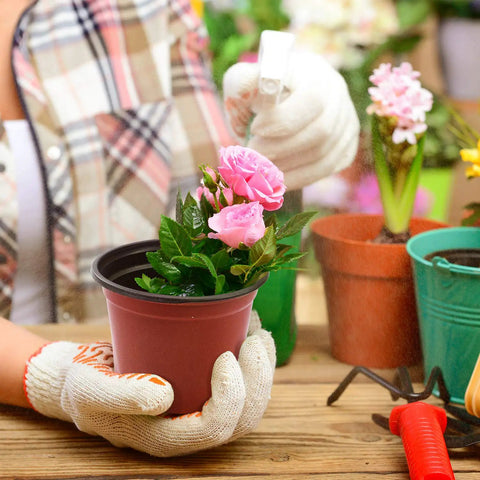 4 Inch Plastic Nursery Pots 100 Pack With Drainage Holes Ideal For Seedlings Cuttings And Transplanting Reusable Seed Starter Pots For Indoor Outdoor Plants Red shown with pink flowers