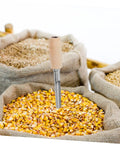 Stainless Steel Grain Sampler Tool With Wooden Handle Durable Sampling Probe For Wheat Rice Corn Sorghum And Other Grains For Labs Farms And Warehouses Grab And Go Easy To Use Efficient Grain Sampling in corn