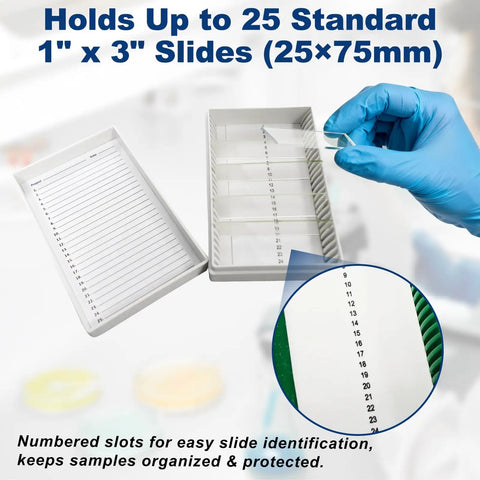 Top Tier Microscope Slide Storage Box With Heavy Duty Foam Liner Keeps Twenty Five Glass Slides Secure And Scratch Free Pack Of Five. Image shows open storage box holding numbered microscope slides.