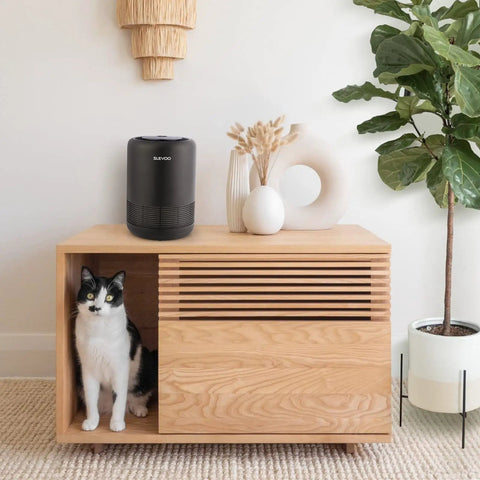 BS-01 Air Purifier on wooden stand, cat sitting inside, greenery nearby, Slevoo branding visible