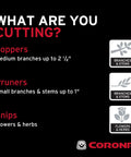 Guide on cutting tools for branches, stems, and flowers; includes loppers, pruners, and snips, by Corona.