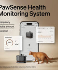 Smart Cat Water Fountain With App Monitoring And Stainless Steel Tray displayed with app hydration tracking screen and a cat.