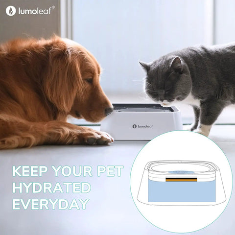 A dog and cat drinking from a no-spill water bowl with Replacement Coconut Activated Charcoal Filters For No Spill Dog Water Bowls 70oz/2L And 135oz/4L Odor Busting Fresh Water Fits Bowls With Similar Filter Systems Pack Of 4.