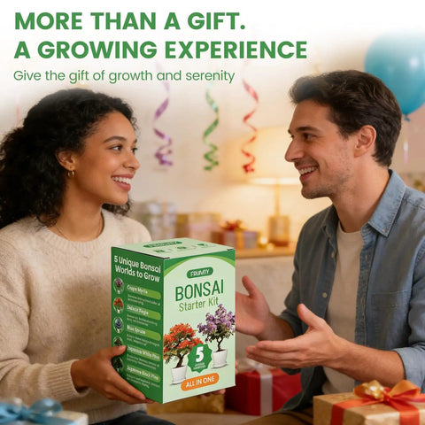 Two people exchanging a Beginner Bonsai Kit With Five Seed Packets Five Grow Pots And Essential Tools For Indoor Bonsai Growth All In One DIY Craft Gardening Set Planters
