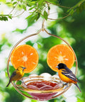 Outdoor Oriole Feeders With Fruit Holder No Fuss To Disassemble And Wash Sturdy Metal Frame Bird Feeders For Courtyard Or Garden Perfect For Bird Watching And Attracting Orioles with attached orange slices and orioles perched.