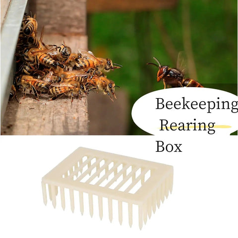 Beekeeping Queen Marker Cage Kit 20 Pack Clip Bee Catcher in plastic, alongside bees in apiary setting