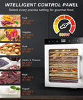 Powerful 1000W Commercial Freeze Dryer Dehydrator With 10 Tier Racks displaying various drying foods and temperature guide