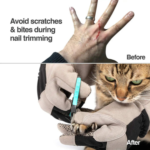 Multipurpose Pet Grooming Glove For Dogs And Cats Water Resistant And Puncture Scratch Resistant Easy Grooming On The Go Vet Visits And Handling Durable Gray With 12 Month Warranty used on hand and cat paw