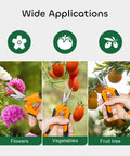 Wide applications of Three Pack 6.5 Inch Pruning Shears For Precise Cuts One Hand Operation Stainless Steel Straight Blades Ergonomic Handles Garden Snips That Slice Cleanly Without Hurting Your Plants in trimming flowers, vegetables, and fruit trees