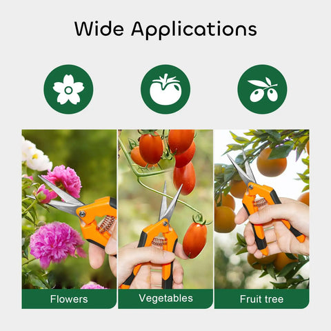 Wide applications of Three Pack 6.5 Inch Pruning Shears For Precise Cuts One Hand Operation Stainless Steel Straight Blades Ergonomic Handles Garden Snips That Slice Cleanly Without Hurting Your Plants in trimming flowers, vegetables, and fruit trees