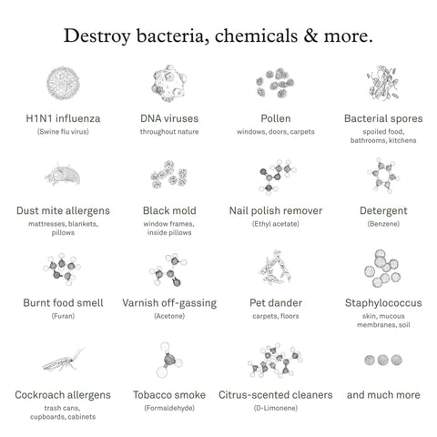 Illustration showing pathogens that PECO Filter With Activated Carbon For Air Pro Purifier targets, including viruses and allergens.