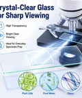 150 Piece Glass Microscope Slides And Covers Set With 50 Blank Slides And 100 Coverslips For Wet Mounts, Classroom And Home Lab Experiments, Ground Edge, 1 By 3 Inches, Compatible With Most Microscopes, glass slide under microscope