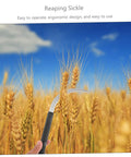 Hand holding sickle in wheat field, part of the Five Piece Rustproof Garden Sickle Set For Weeding And Harvesting With Comfortable Grip Handles All In One Tools For Efficient Yard Work And Plant Care Like A Boss.