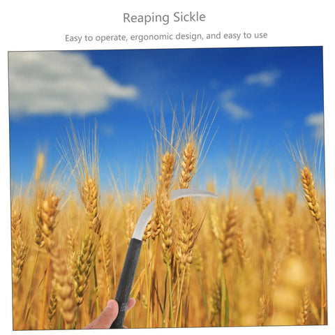 Hand holding sickle in wheat field, part of the Five Piece Rustproof Garden Sickle Set For Weeding And Harvesting With Comfortable Grip Handles All In One Tools For Efficient Yard Work And Plant Care Like A Boss.