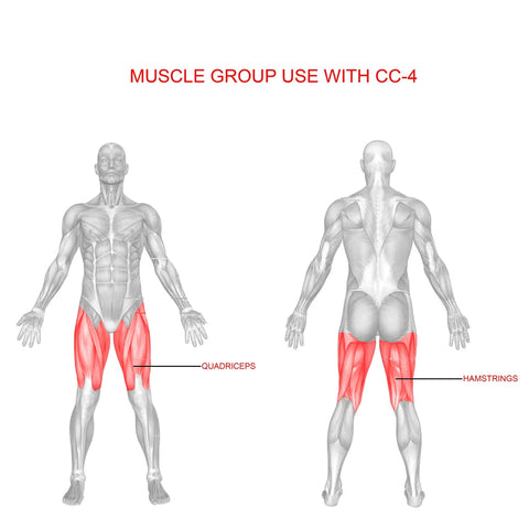Diagram showing muscle groups targeted by Leg Extension And Leg Curl Machine For Home Gym Adjustable illustrating quads and hamstrings.