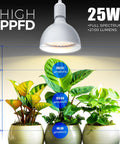 Next Level Heavy Duty Hanging Grow Light Bulbs For Indoor Plants 25W Full Spectrum illuminating vibrant houseplants.
