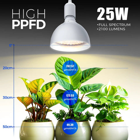 Next Level Heavy Duty Hanging Grow Light Bulbs For Indoor Plants 25W Full Spectrum illuminating vibrant houseplants.