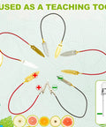 24 Fruit Battery Science Kit With Clock For Home Classroom Learning Power Up Physics Experiments With Lemons Oranges Potatoes Includes Copper And Zinc Plates Wires LEDs And Timers Kid Friendly teaching tool with clips and LED