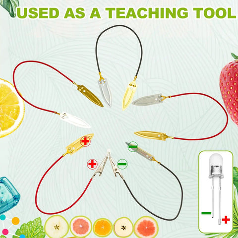 24 Fruit Battery Science Kit With Clock For Home Classroom Learning Power Up Physics Experiments With Lemons Oranges Potatoes Includes Copper And Zinc Plates Wires LEDs And Timers Kid Friendly teaching tool with clips and LED