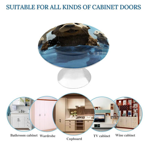 Dope Round Stainless Steel Cabinet Knobs With Screws 2 Pack Modern Cupboard Door Knobs With Exquisite Sea Otter Print