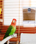 No Sweat Automatic Parrot Feeder Cups Bulk Pack with bird and seeds, clear material, 350g capacity, perfect for small birds.