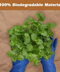 Hands holding plants over biodegradable paper, 4 By 100 Feet Biodegradable Paper Weed Barrier for Landscaping, eco-friendly material