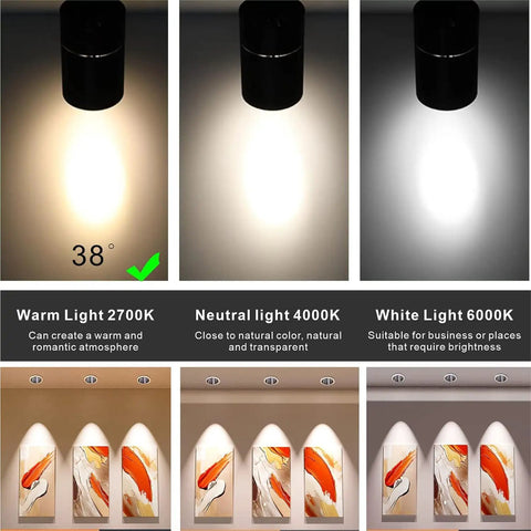 Built Tough MR16 LED Spotlight Bulbs GU53 Base 12V 3 Watt illumination comparison of 2700K warm light and 4000K neutral light.