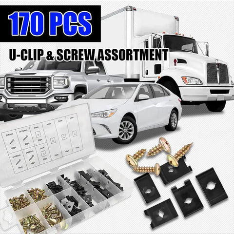 Rig Ready Automotive Screws And Clips Assortment Kit 170 Piece Set showing u-clips, screws, and assorted fasteners for vehicle repairs.