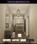 Smart Lighting Starter Kit With Bridge And Four Color Ambiance E26 Bulbs, 2200K To 6500K Dimmable hallway setup