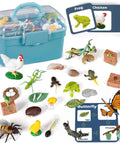 Life Cycle Science Toys For Kids Set with 25 animal figurines and guide cards in a blue storage box