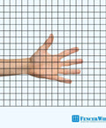 Hand reaching through Top Shelf Vinyl Coated Hardware Cloth 16 Gauge Galvanized Steel With Half Inch Black Square Mesh.