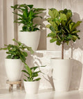 Two Pack 10 Inch Hanging Planters With White Honeycomb Design For Indoor And Outdoor Use display with lush greenery.