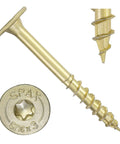 Powerlags XF Five Sixteenth Inch By Three Inch Interior Pancake Head Structural Wood Lag Screws 250 Pack No Drill Needed Yellow Zinc T40 Torx Drive Heavy Duty Framing For Load Bearing Construction Projects close-up