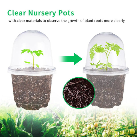Clear Seed Starter Pots With Humidity Domes, 4 Inch Plastic Nursery Pots For Indoor Outdoor Gardening, showing seedling growth