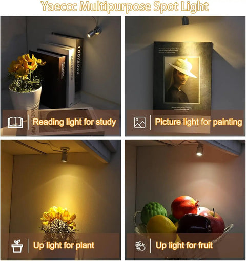Dimmable LED Mini Spotlight Set For Jewelry Displays, 360 Degree Rotatable Surface Mount Lights illuminating various objects.