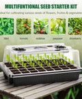 Seed Starter Tray Kit With Grow Lights, 40 Cell Trays With Humidity Dome shown with seedlings on outdoor table