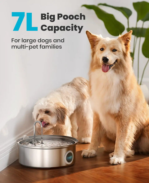7L Stainless Steel Dog Water Fountain With Visual Water Level Ultra Quiet Pump Five Stage Filtration Ideal For Large And Medium Dogs