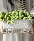 Dope Self Watering Rectangular Planter With Breathable Undergrowth Vents And Glacier Textured Finish, Transparent PET Window Sill Indoor Greenery Pot In Piano White, Drop Resistant, Perfect For Small Veggies And Herbs, 1 Pack clear window view