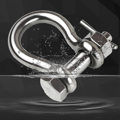 Three Eighths Inch Clevis Shackle With One Half Inch Bolt Pin 316 Stainless Steel Bow Anchor underwater view
