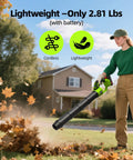 Person using Cordless Leaf Blower With Three 21V Batteries And Fast Charger For Continuous Power Variable Speed Lightweight Handheld Beast for yard cleanup