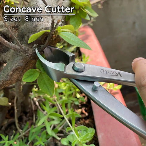 6 Piece Bonsai Tool Set Pro Grade With Concave Cutter trimming bonsai branch, 8 inch, 3Cr13 steel tool in use close-up.