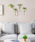 Glass Tube Propagation Station Hanging Vase Set - 4 Cylinder Wall Planters for Hydroponics in living room setting