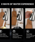 High Arc Brushed Nickel Kitchen Faucet With Pull Down Sprayer, Single Handle Tulip Design, 3 Way Spray Settings shown
