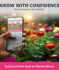 Zinnia Dahlia Seeds Pack 524 Premium Seeds For 2026 Non GMO Garden Blooms With Vibrant Double Flowers In Red Pink Orange White
