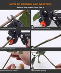Step-by-step guide using All In One Garden Grafting Tool Kit With Pruning Scissors For Fruit Trees U Graft V Graft Omega Graft Seedling Grafting Set Includes Tapes Knife And Replacement Blades.