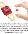 Top Shelf 3 Pack Midi Fuse 50 Amp Bolt On High Current Terminal, red fuse with gold connectors held between fingers.