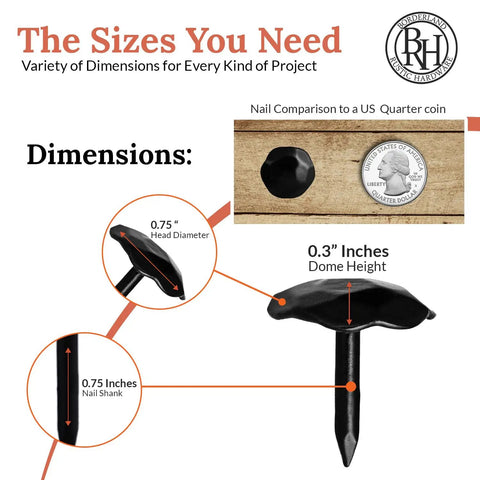 Rustic Handmade 25 Pack 0.75 Inch Black Round Head Iron Clavos Decorative Nails dimensions compared to US quarter coin