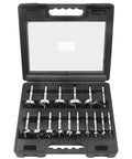 Sixteen Piece Dope Forstner Bit Set For Wood Drilling With Center Positioning in a black case, sizes from quarter inch to three and three quarters inch.