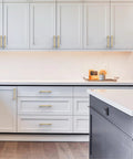 Champagne Bronze Cabinet Pulls 10 Pack Heavy Duty Solid Kitchen Drawer Handles 5 Inch Hole Center 128mm on white cabinets